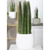 Bogenhanf 'Straight', Topf-Ø 14 Cm, Höhe Ca. 50 Cm 1 Bogenhanf 'Straight', Topf-Ø 14 Cm, Höhe Ca. 50 Cm -Gardena Verkaufsgeschäft 0250200242 Sansevieria Cylindrica Straight