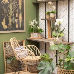 Phalaenopsis, Weißtöne, 2 Rispen, Topf-Ø 9 Cm, Höhe Ca. 30 Cm 14 Phalaenopsis, Weißtöne, 2 Rispen, Topf-Ø 9 Cm, Höhe Ca. 30 Cm -Gardena Verkaufsgeschäft 0290100048 3