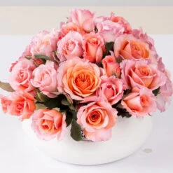 Stammrose 'Käthchen Von Heilbronn'®, Edelrose, Stammhöhe 60cm Im 7,5 Liter Topf -Gardena Verkaufsgeschäft 0460100700 KB Kaethchen von Heilbronn Edelrose Co 6lt1 65417