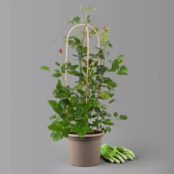 Gardena Verkaufsgeschäft -Gardena Verkaufsgeschäft 0460851104 comeback 1 125117