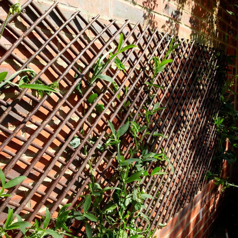 Ausziehbares Weidenspaliergitter, 180x60 Cm 3 Ausziehbares Weidenspaliergitter, 180x60 Cm