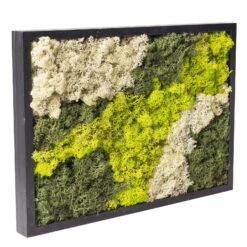 Eckiges Moosbild Mit Schwarzem Rahmen, Klein, 24 X 17 Cm -Gardena Verkaufsgeschäft 1530150085 Moosbild eckig 24 cm 1 115778