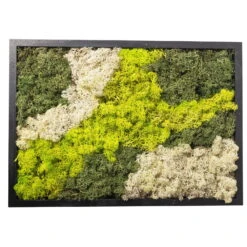 Eckiges Moosbild Mit Schwarzem Rahmen, Klein, 24 X 17 Cm -Gardena Verkaufsgeschäft 1530150085 Moosbild eckig 24 cm 3 115777