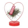 Tillandsia In Herzförmigem Metallgestell, Rot, Höhe Ca. 23 Cm -Gardena Verkaufsgeschäft 1530150122 Tillandise in Herzstaender rot 118144
