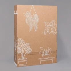 Dreimasterblume In Keramiktopf Anthrazit, N. Verfügbarkeit, Topf-Ø 12cm, 3er-Set 19 Dreimasterblume In Keramiktopf Anthrazit, N. Verfügbarkeit, Topf-Ø 12cm, 3er-Set -Gardena Verkaufsgeschäft B2 02 Karton Sets mit Keramik 1 126161 2