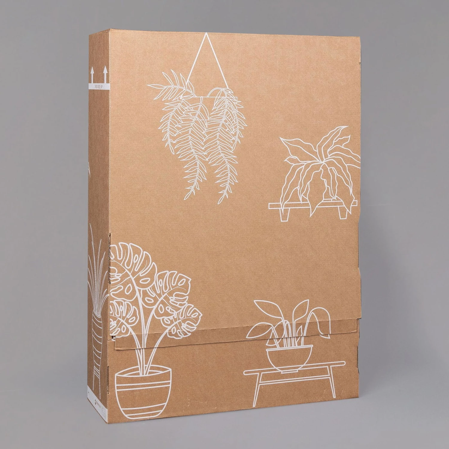 Dreimasterblume In Keramiktopf Anthrazit, N. Verfügbarkeit, Topf-Ø 12cm, 3er-Set 10 Dreimasterblume In Keramiktopf Anthrazit, N. Verfügbarkeit, Topf-Ø 12cm, 3er-Set – Bild 8