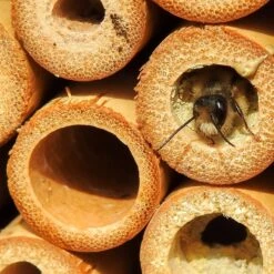 Insektenhotel, Natur, Höhe Ca. 51 X 14 X 38 Cm 5 Insektenhotel, Natur, Höhe Ca. 51 X 14 X 38 Cm -Gardena Verkaufsgeschäft insektenhotel biene 117841 1