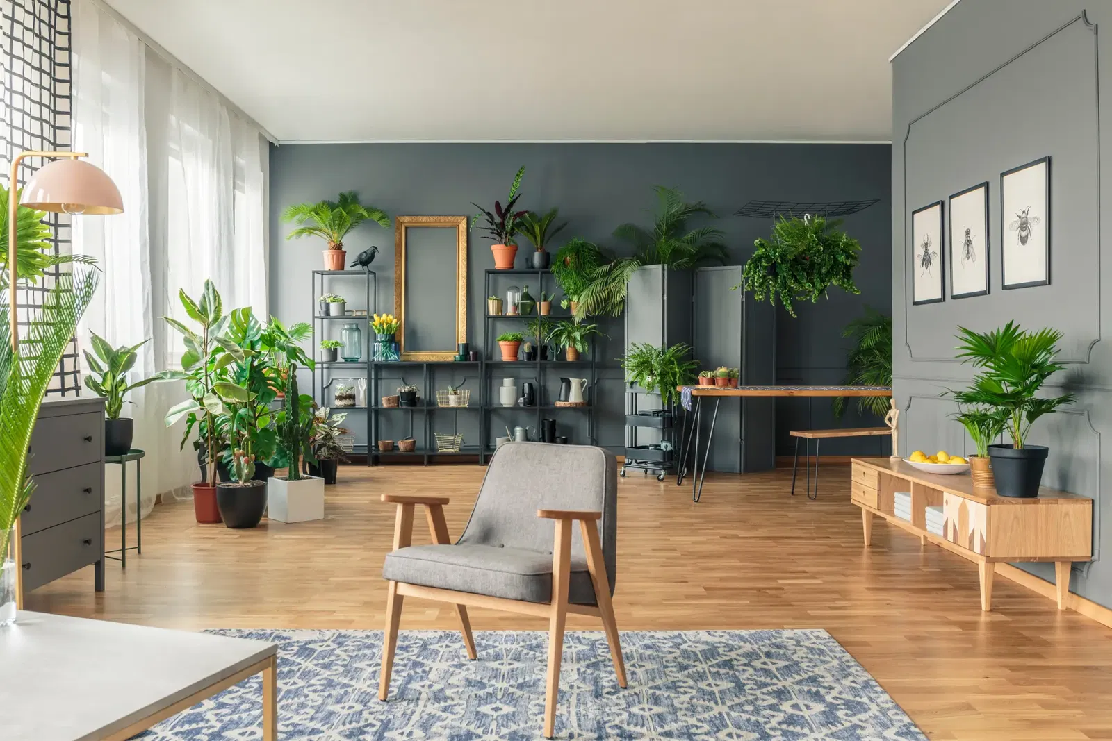 Gardena Verkaufsgeschäft -Gardena Verkaufsgeschäft zimmerpflanzen wenig licht